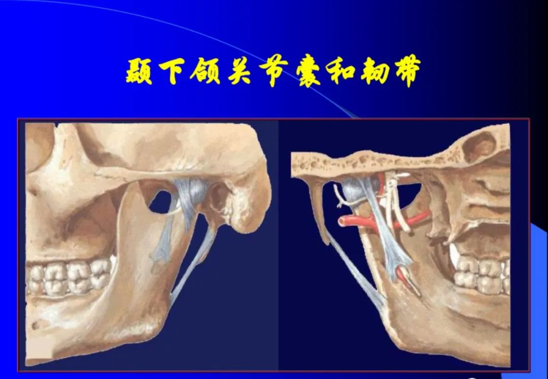 口腔颌面外科学：颞下颌关节脱位