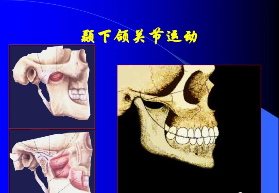 口腔颌面外科学：颞下颌关节脱位