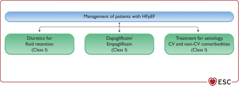 这两类心衰，只有SGLT2i和利尿剂是Ⅰ类推荐！ESC心衰指南更新