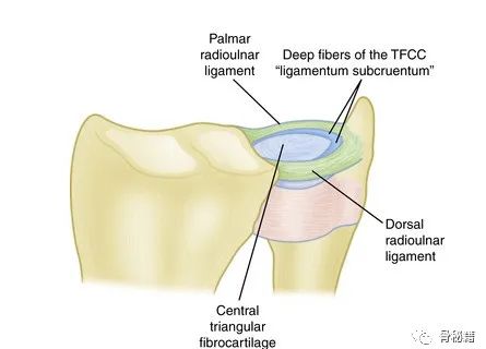 三角纤维软骨复合体（TFCC）之痛