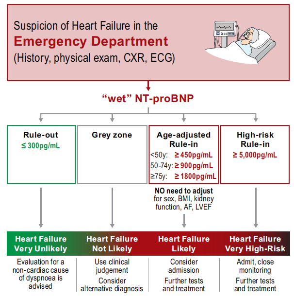 提出“干NT-proBNP、心脏压力概念和FIND-HF原则”！ESC利钠肽共识