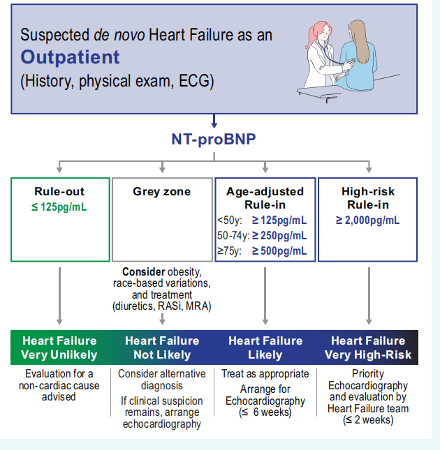 提出“干NT-proBNP、心脏压力概念和FIND-HF原则”！ESC利钠肽共识