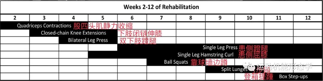 血流限制训练可保留ACL重建后下肢骨骼与肌肉的质量