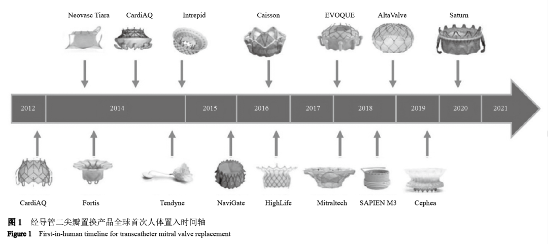 【综述】经导管二尖瓣置换技术难点概述