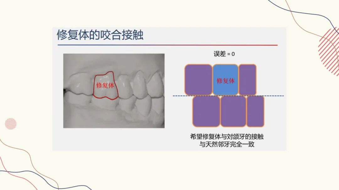 咬合纸的临床应用