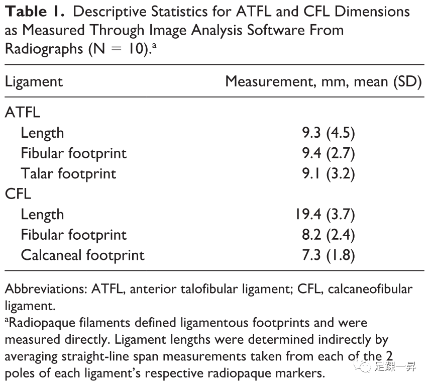 【足踝解剖】踝关节外侧韧带复合体的X线解剖学研究