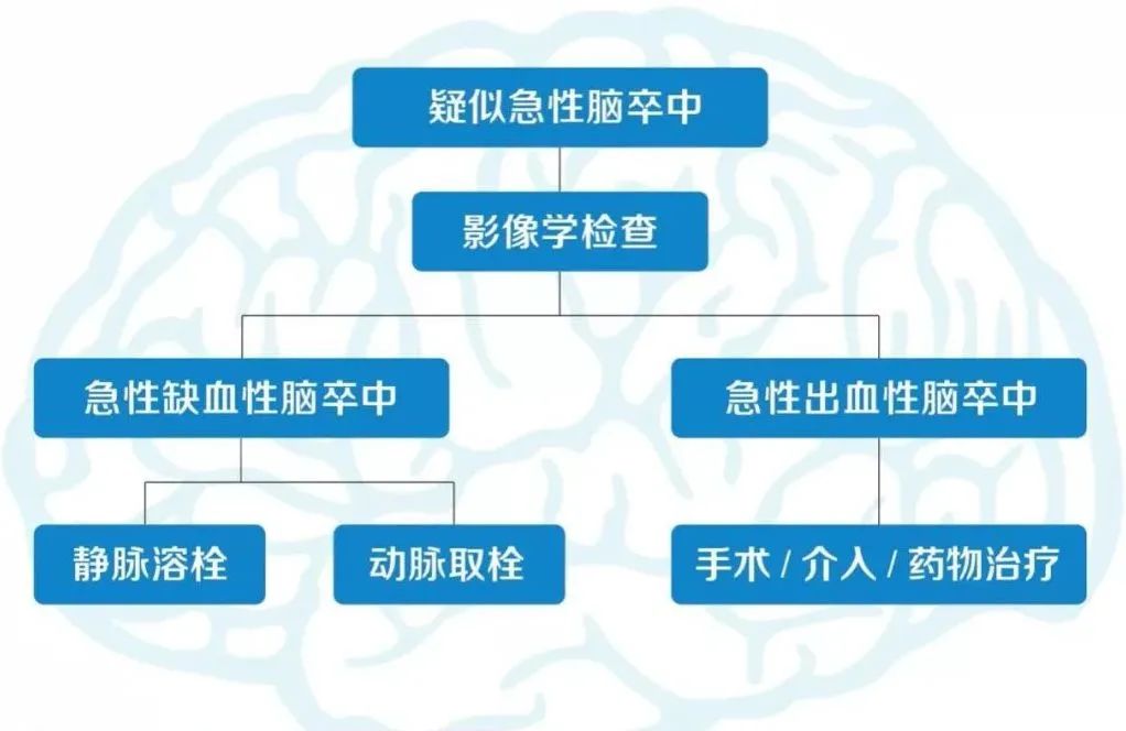 【干货分享】脑卒中患者如何进行快速急救处理？