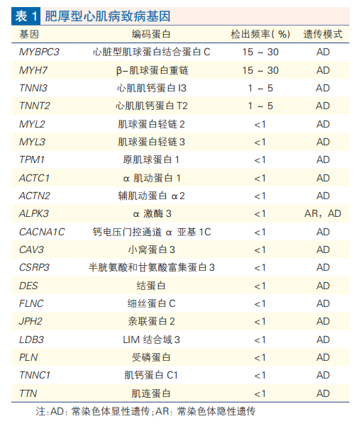 肥厚型心肌病简介及临床试验