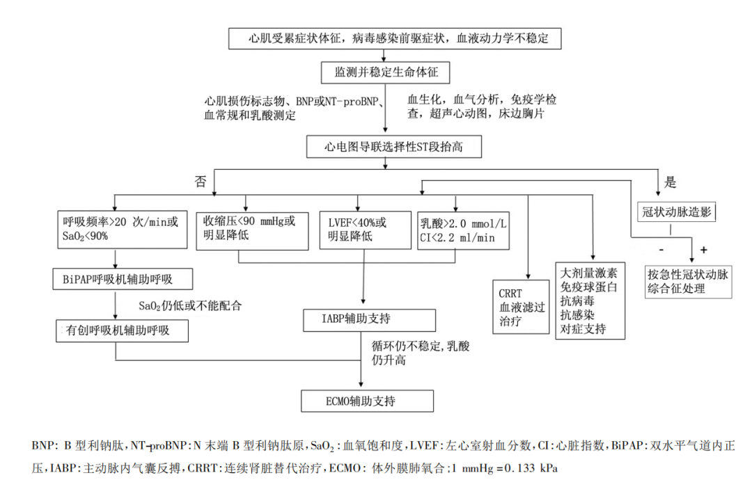 暴发性心肌炎患者的处置措施