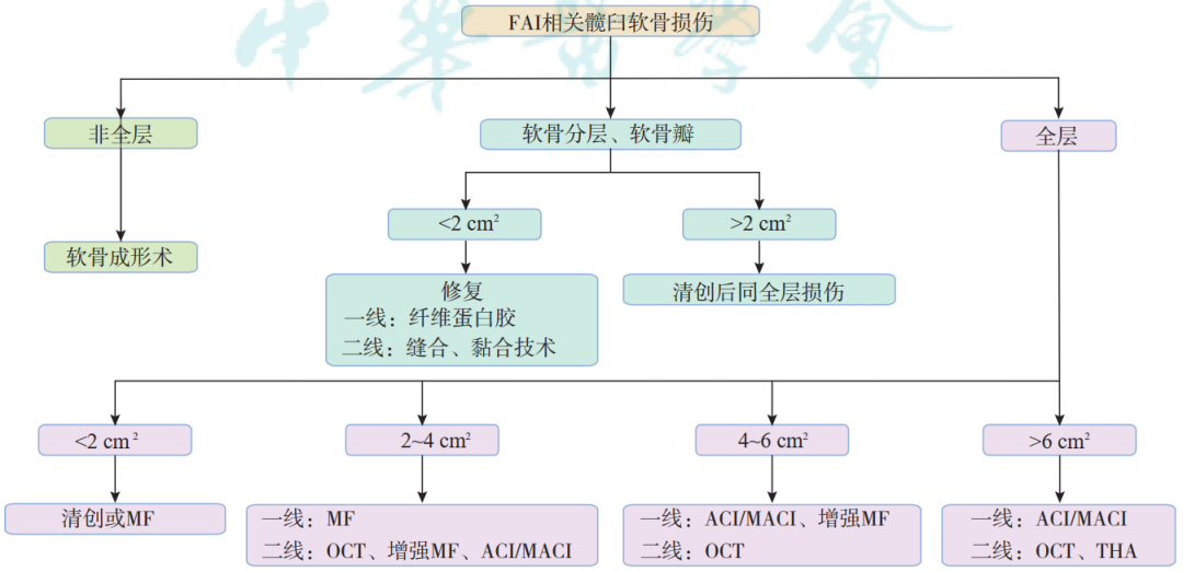 【骨科前沿】髋臼股骨撞击症髋臼软骨损伤的发生机制及诊疗进展