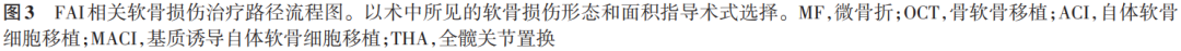 【骨科前沿】髋臼股骨撞击症髋臼软骨损伤的发生机制及诊疗进展