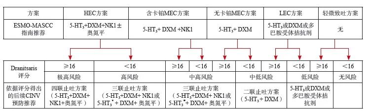 抗肿瘤治疗所致恶心呕吐全程管理上海专家共识（2024年版）