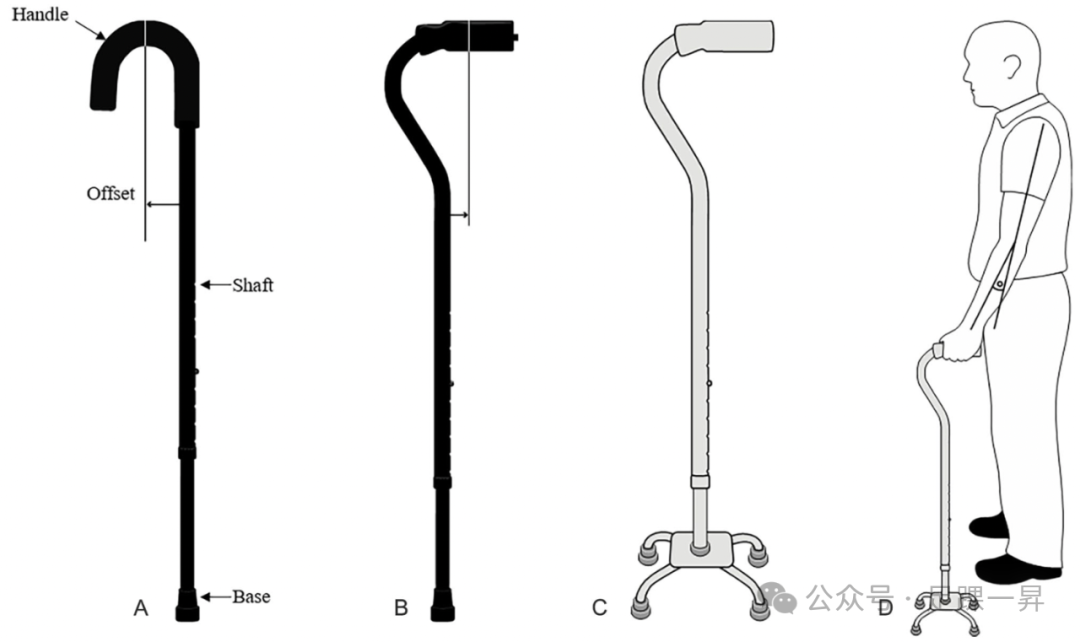【顶刊综述】除了拐杖还有哪些下肢行走辅助装置？