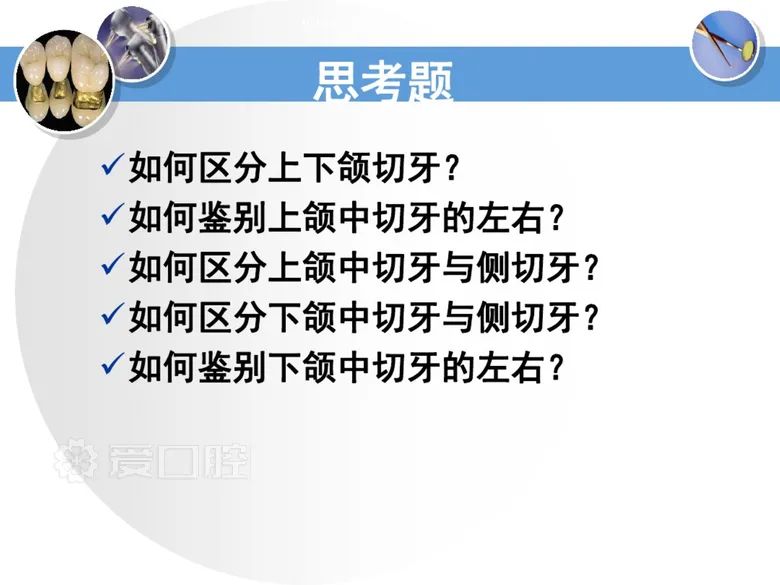 最全整理！恒牙解剖形态