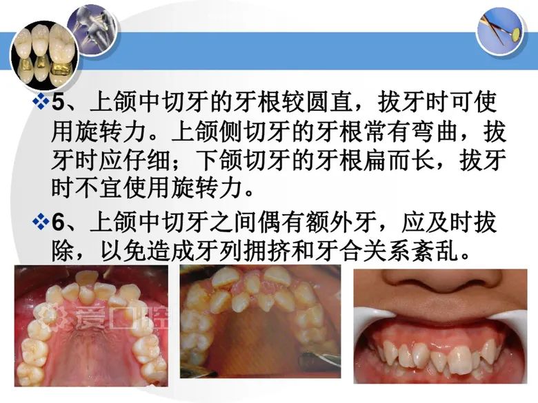 最全整理！恒牙解剖形态