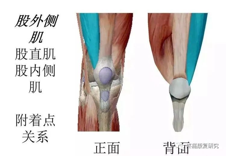 【盘点】膝痛不同位置，代表着的疾病