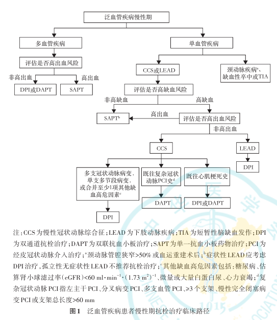 泛血管疾病的抗栓治疗，需要掌握哪些原则？