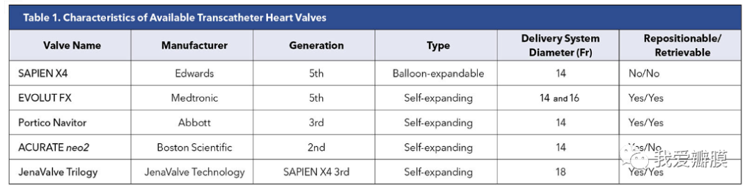 经导管心脏瓣膜TAVR技术：最新进展