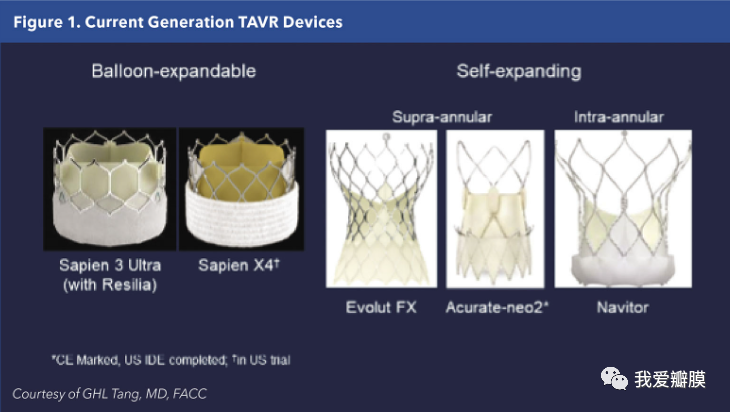 经导管心脏瓣膜TAVR技术：最新进展