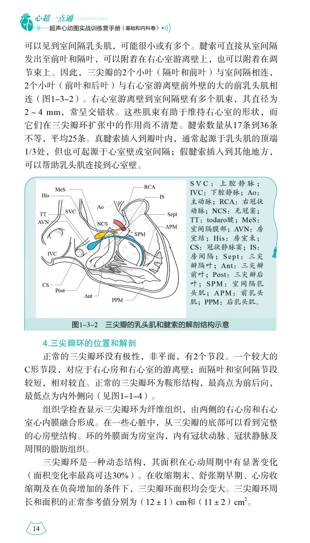 好医术推荐