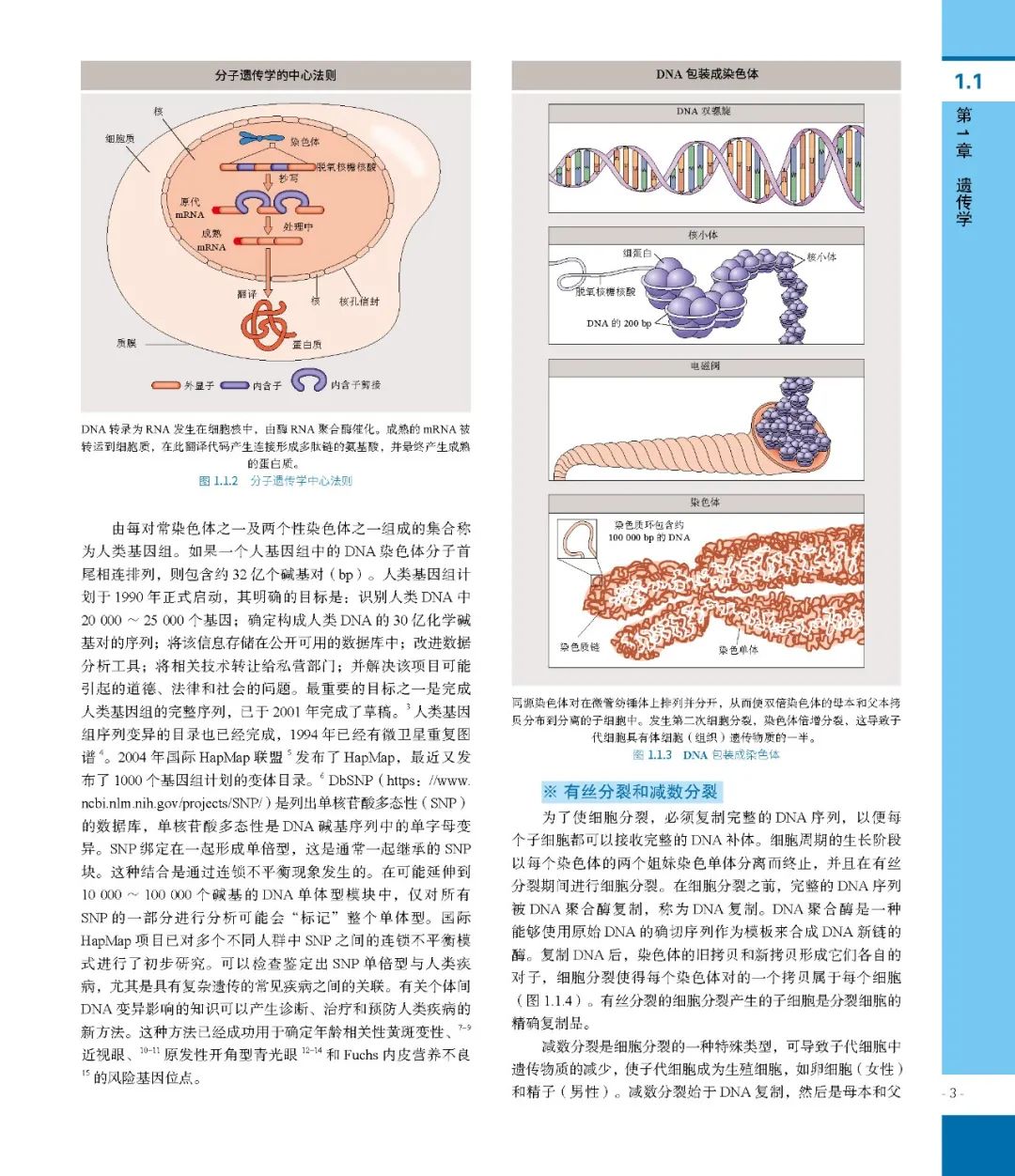 经典书籍：眼科学：第5版