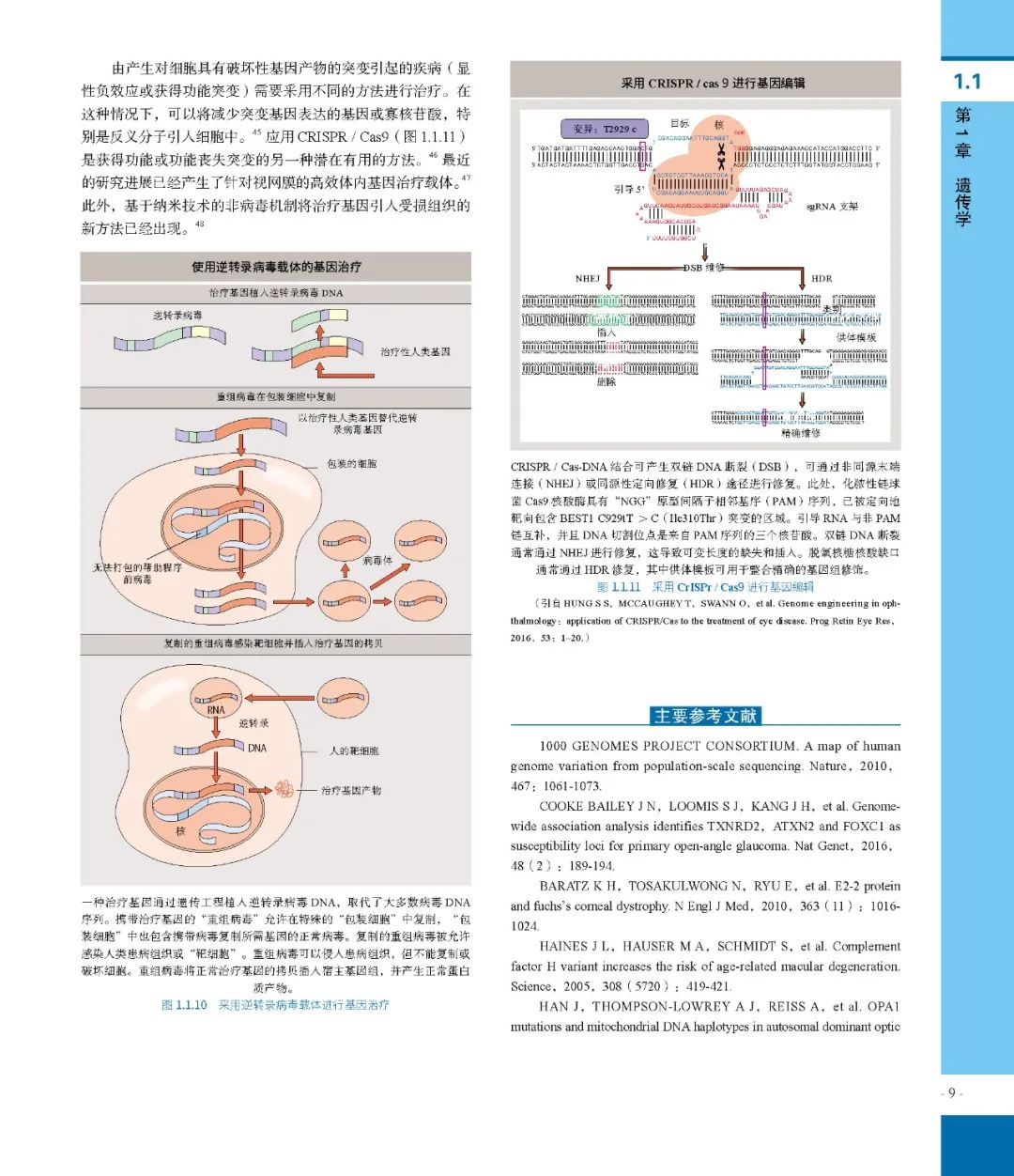 经典书籍：眼科学：第5版