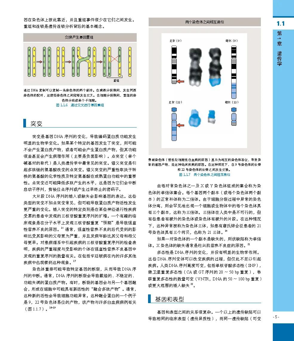 经典书籍：眼科学：第5版