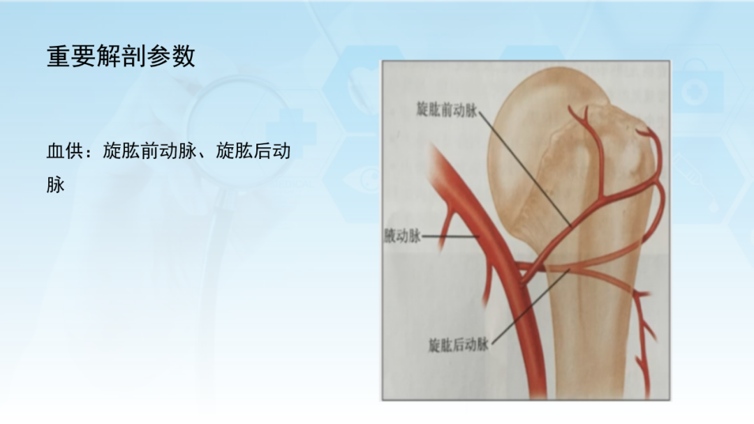 骨水泥辅助技术在骨质疏松性肱骨近端骨折中的应用探索