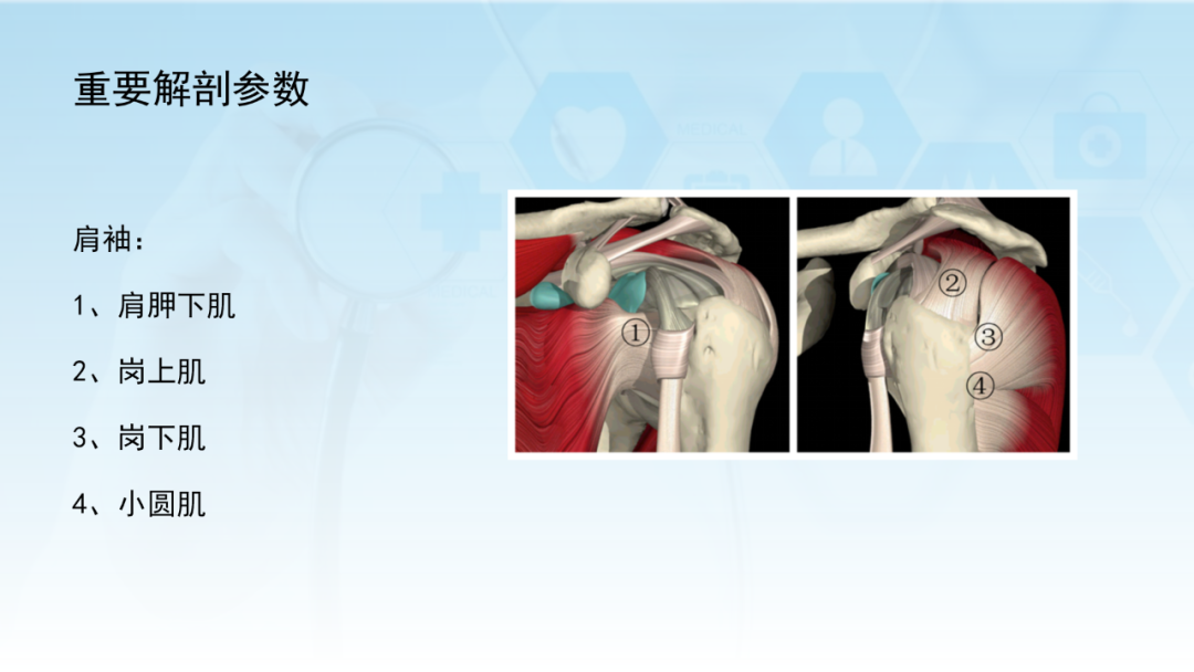 骨水泥辅助技术在骨质疏松性肱骨近端骨折中的应用探索