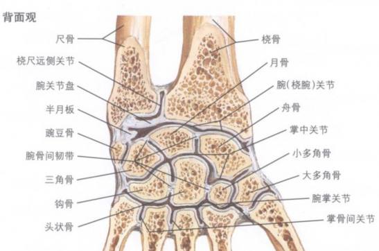 容易漏诊的下尺桡关节脱位如何诊断和治疗