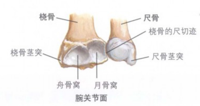 容易漏诊的下尺桡关节脱位如何诊断和治疗