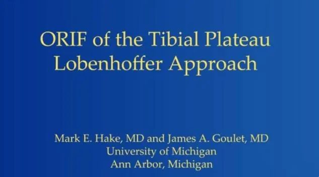 图文并茂：详解Lobenhoffer入路治疗胫骨后内侧平台骨折(ORIF)