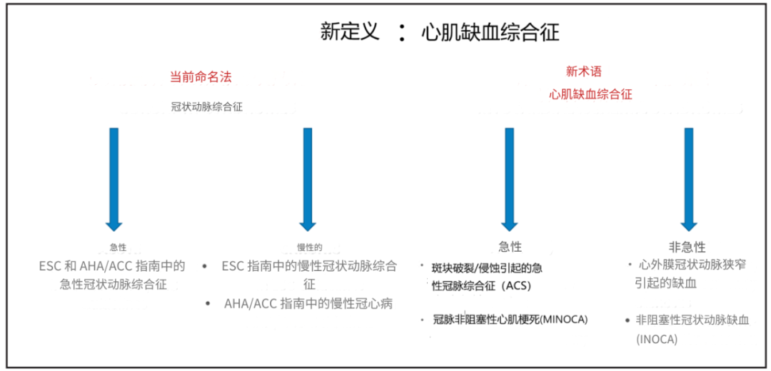 建议冠心病改名为心肌缺血综合征！Circulation和欧洲心脏杂志同期刊登文章