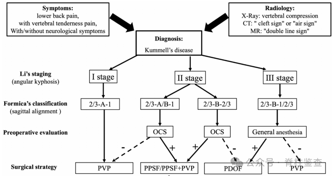 文献查阅丨Kummell病的手术策略选择及临床疗效分析