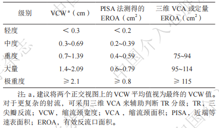 早读丨三尖瓣反流经导管治疗的中国专家共识