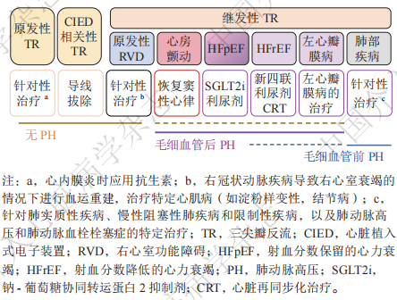 早读丨三尖瓣反流经导管治疗的中国专家共识