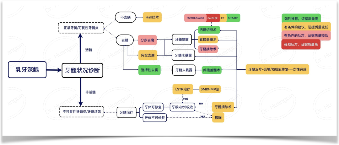 乳磨牙活髓保存治疗的临床指南