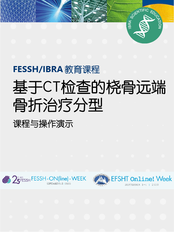Daniel Herren教授（瑞士）、Wolfgang Hintringer教授（奥地利）,  Hermann Krimmer教授（德国）、同声传译：杨迟