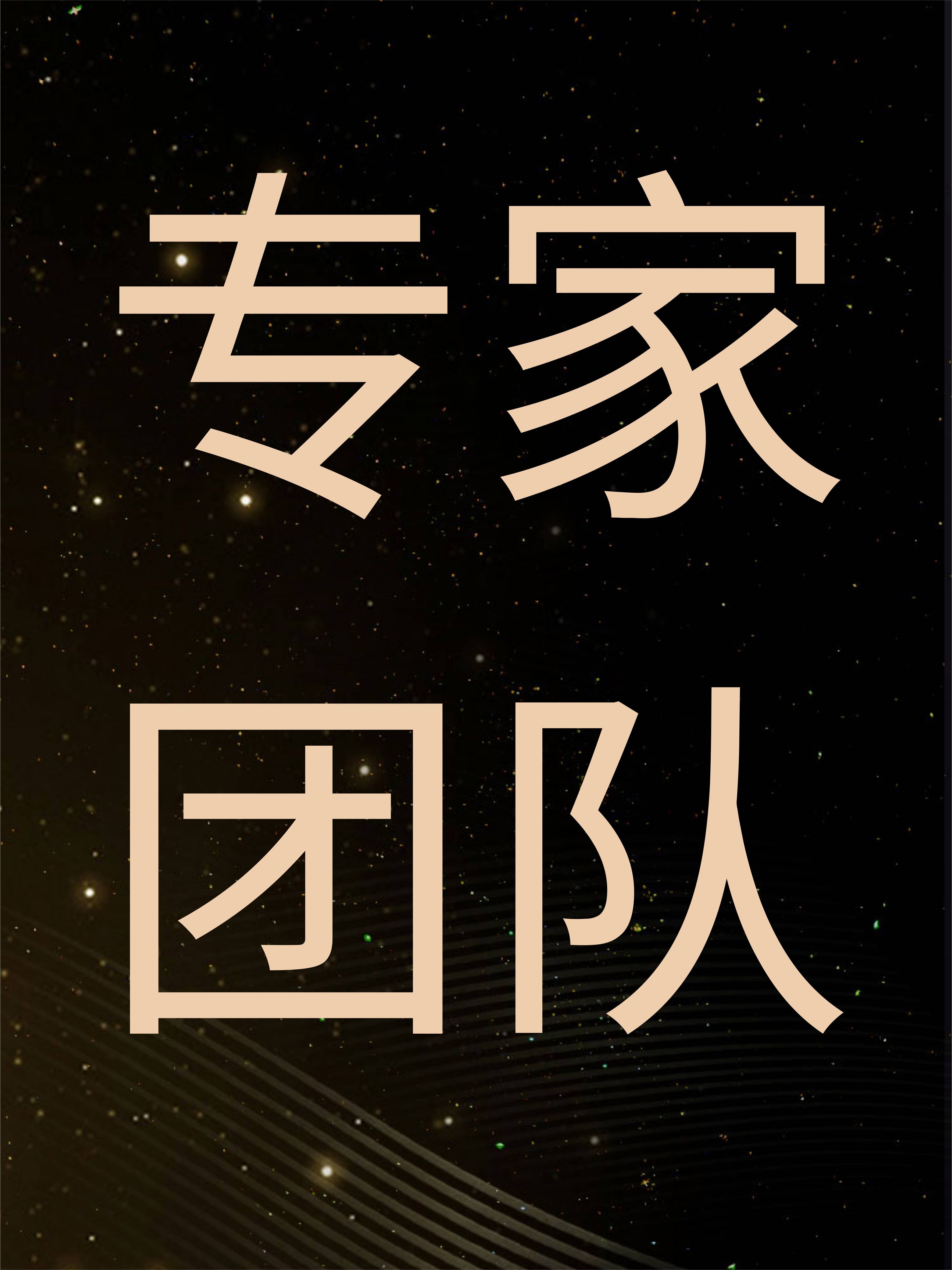 专家团队