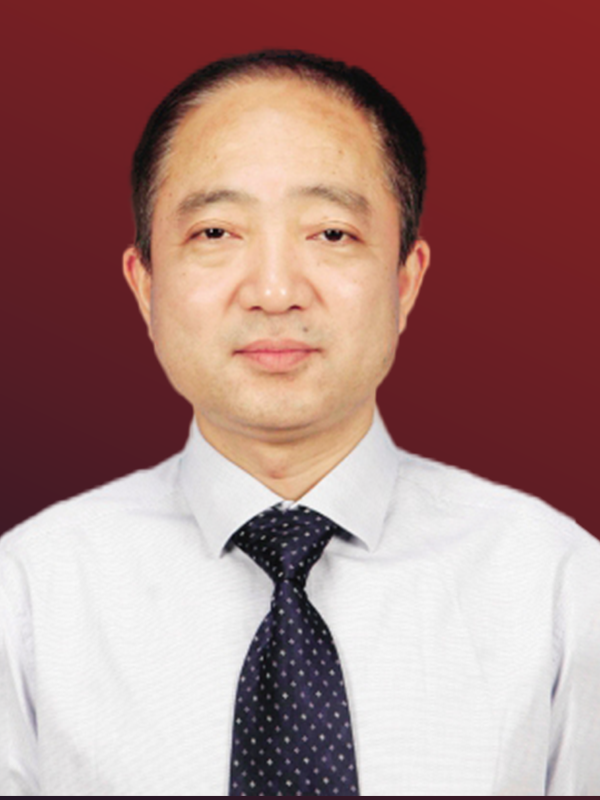 卢凤民