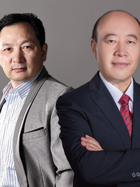 杨惠林 张西峰