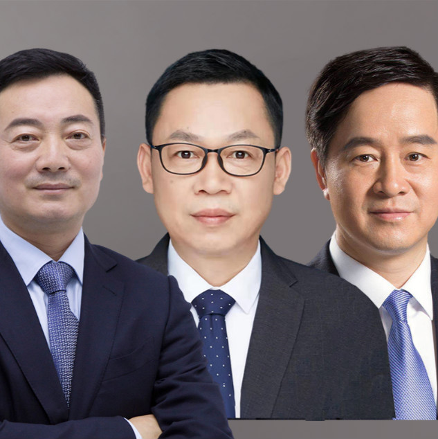 王蕾 王友华 毕擎