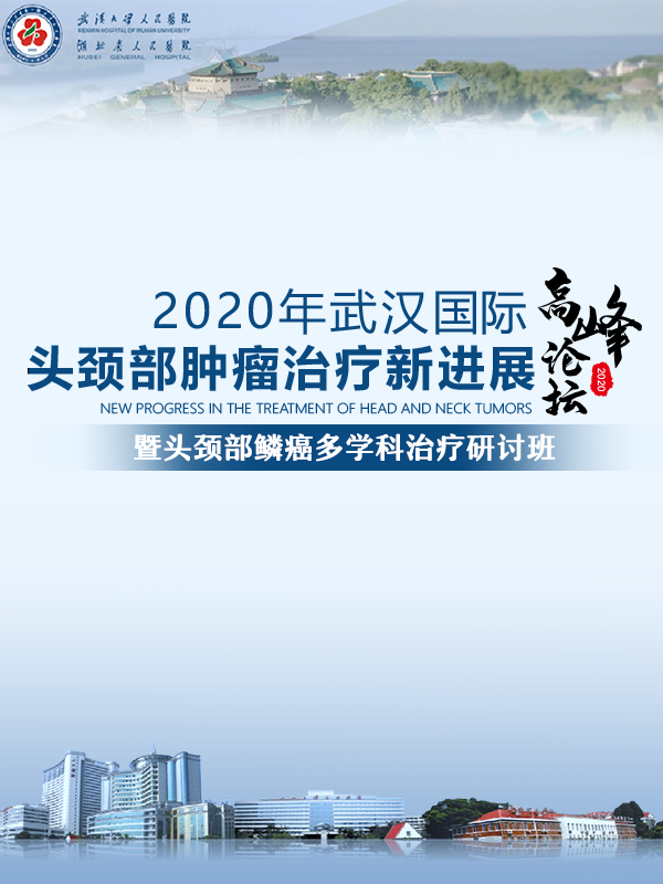 专家团队