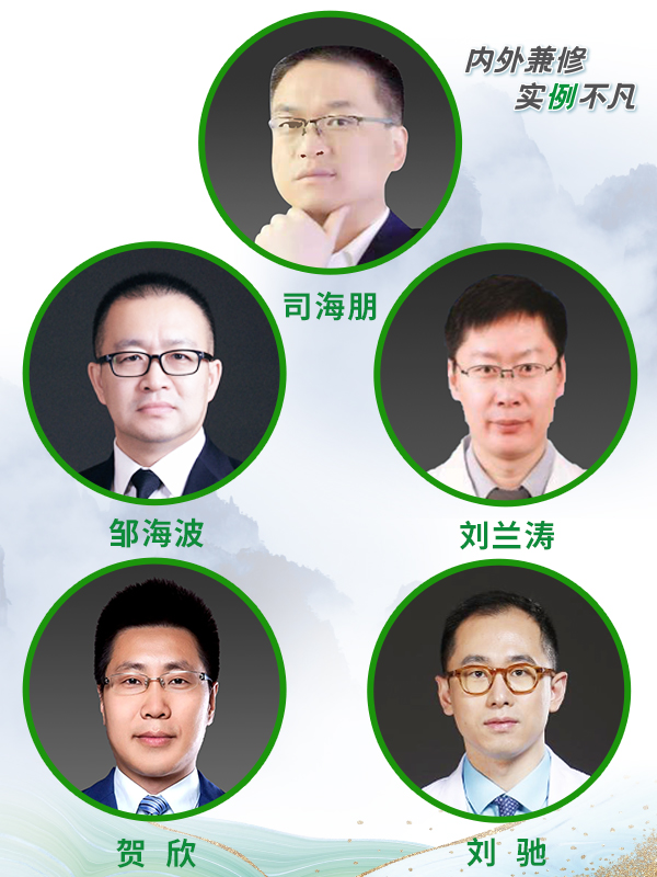 司海鹏、邹海波、刘兰涛、贺欣、刘驰