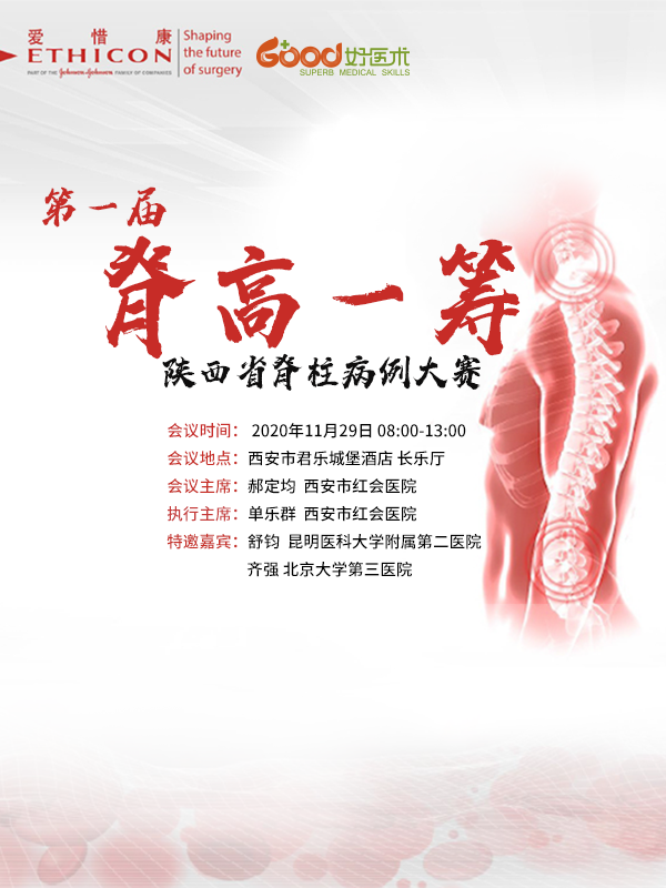 专家团队