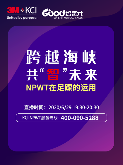 唐逸文 张晖