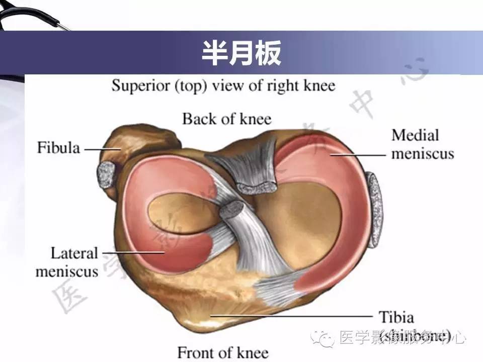 半月板病变的MRI诊断，如此精彩岂能错过！