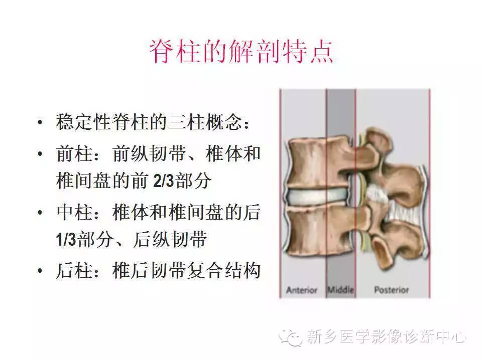 脊柱骨折的详细分型及治疗