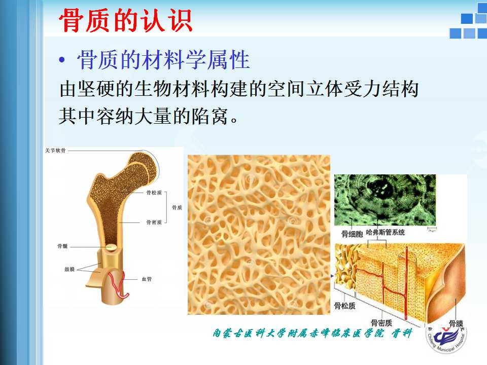 骨折愈合的原理与逻辑