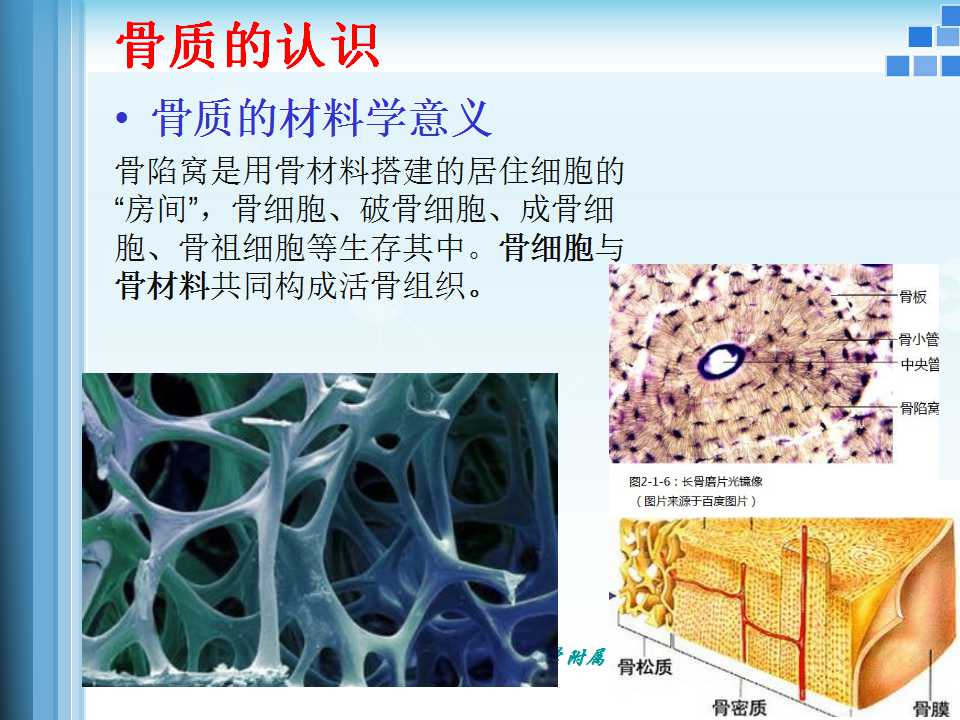 骨折愈合的原理与逻辑